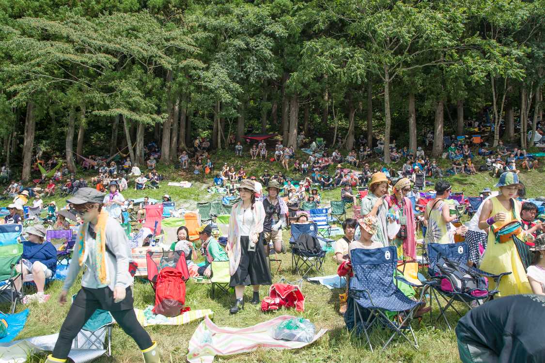 中央の後方。木陰にもたくさんいます。