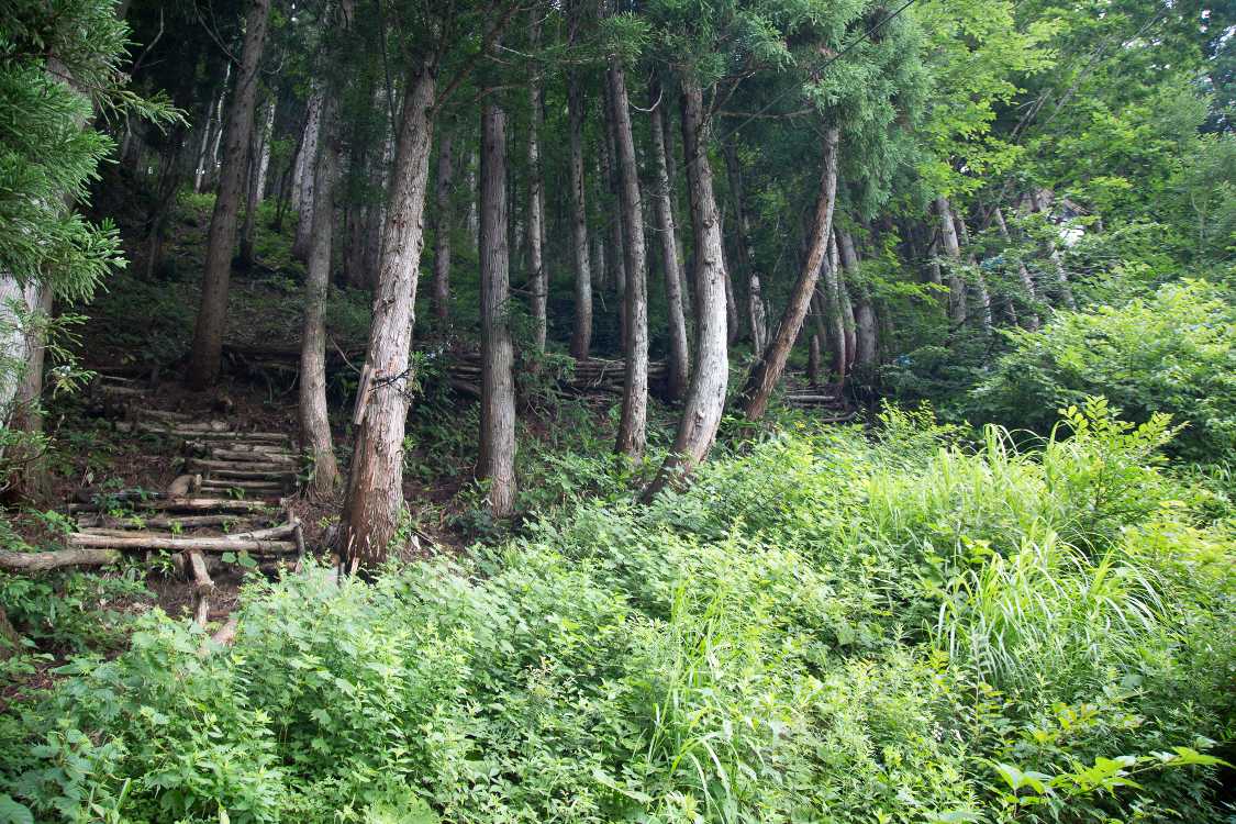 森に通じる階段。