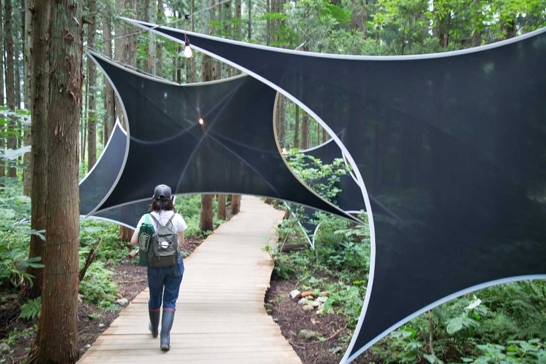 夜になると視覚的効果があるのかもしれないが、夜にボードウォークを通過しなかった。