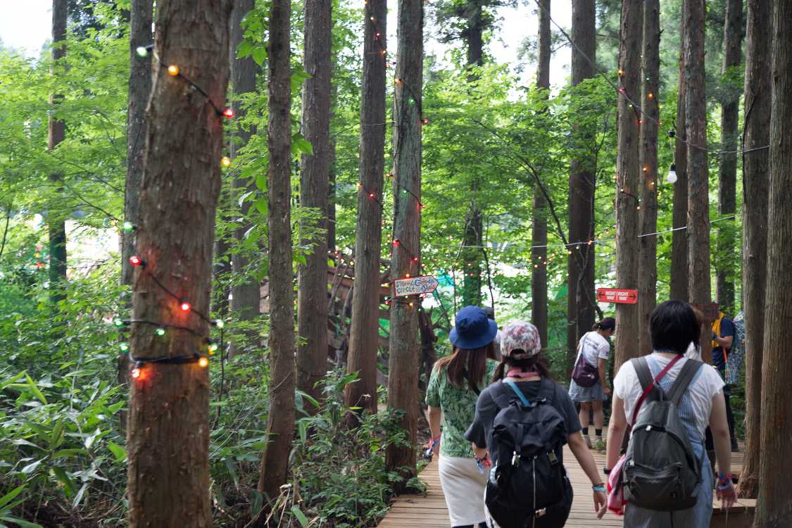 フィールドオブヘブンが近づき、電飾がついている。