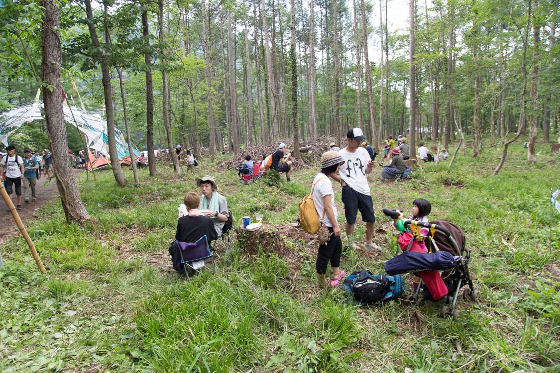 木は何本か伐採されたようだ。