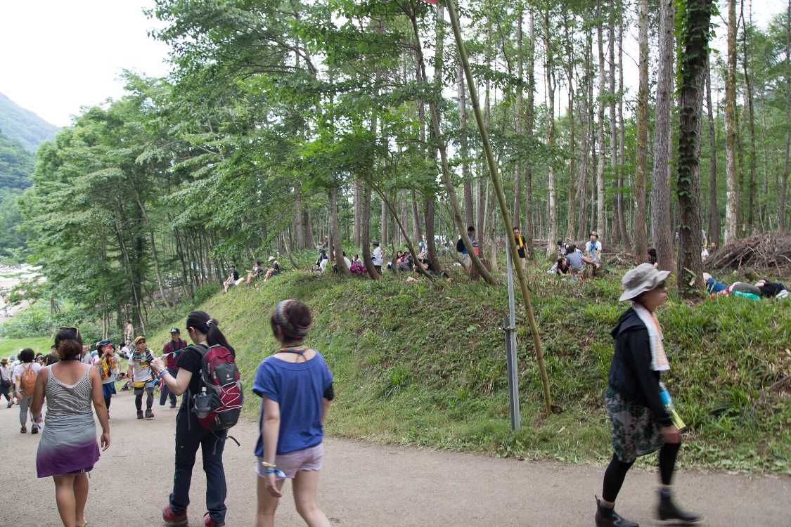 入り口の林が刈り込まれていた。