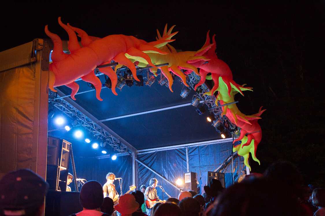 パレスオブワンダーのルーキーアゴーゴー。