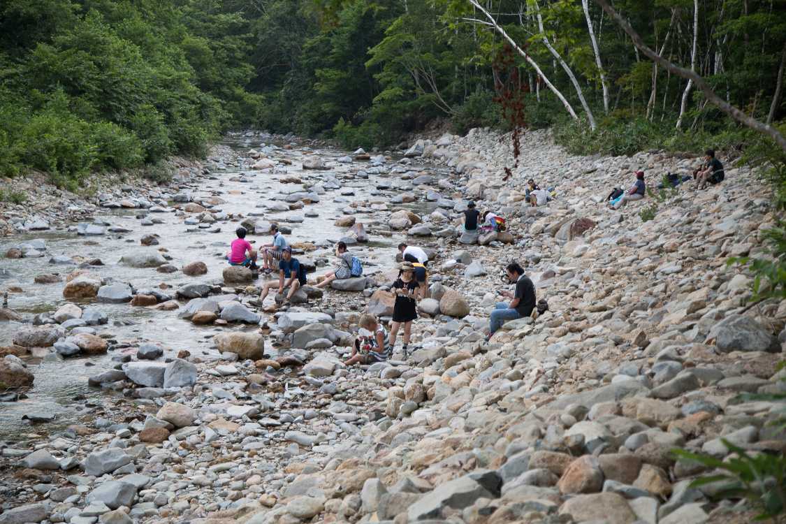 右側は自然の川岸ではなく修復された状態とみられる。