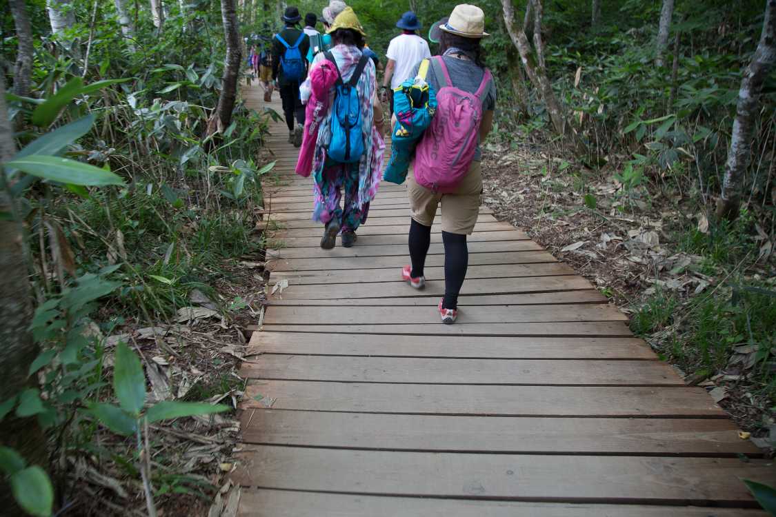 グリーンステージ方面行きは地面に直接板を敷いている部分が多く、フィールドオブヘブン方面行きと異なるところだ。