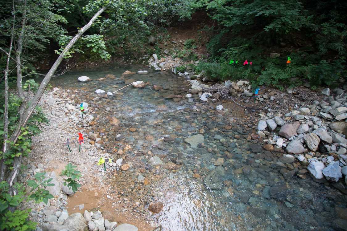 みどり橋から。