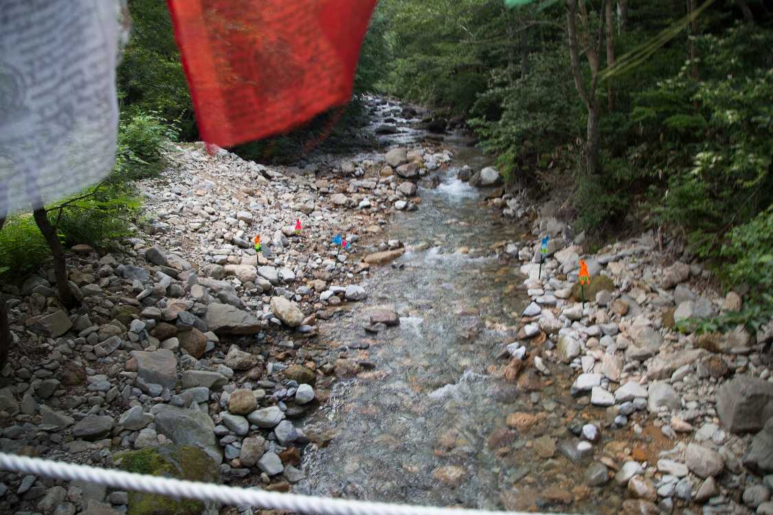 みどり橋から。上流、オアシスエリア方面。