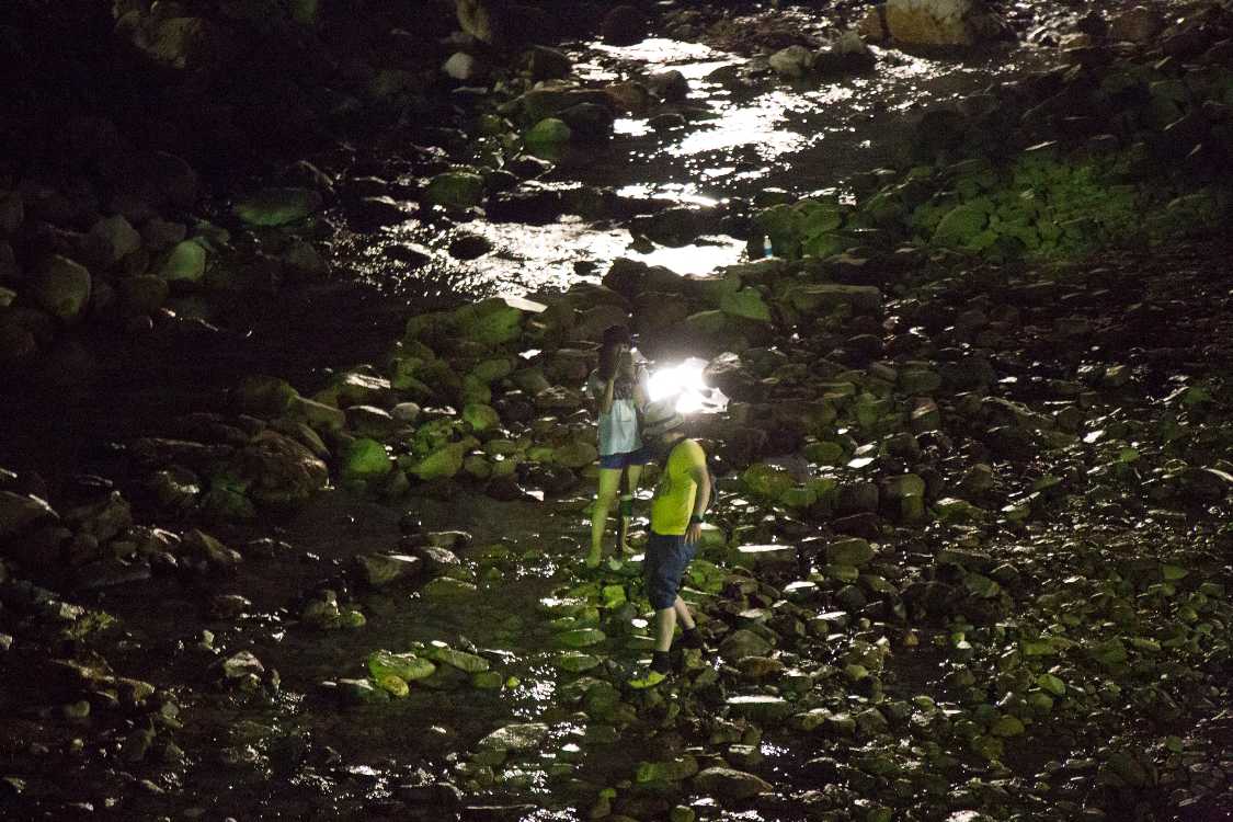 日曜のグリーンステージ終演後。河川敷に降りる人。