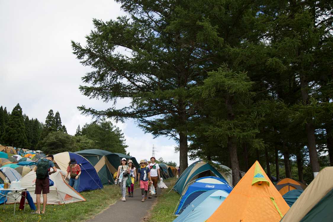 大きな木は場所の目印の一つ。