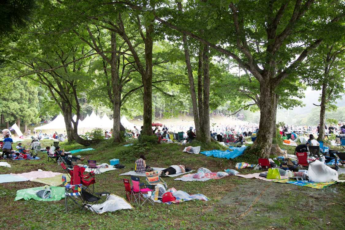 毎年ペットボトルの山ができる場所付近。