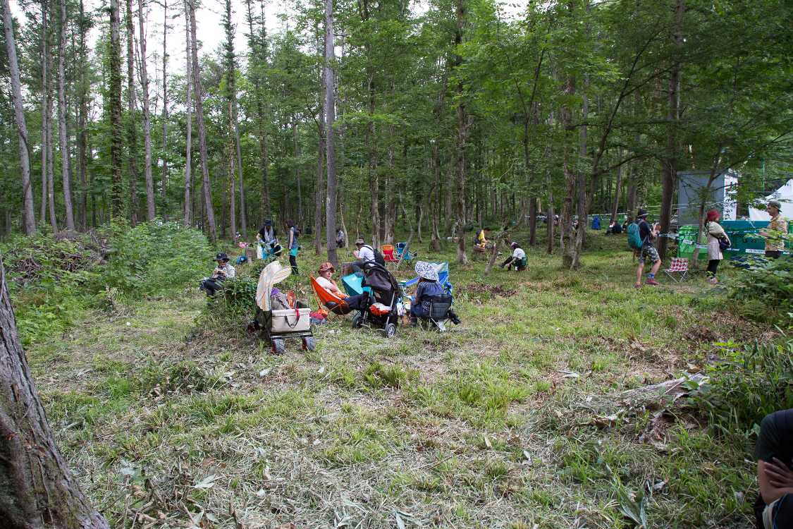 飲食店裏の刈り込まれた空間。