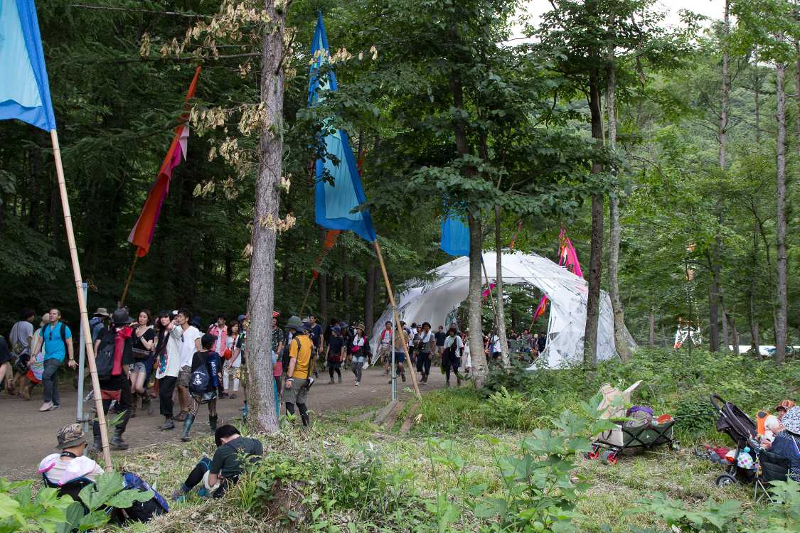 刈り込まれたところから。