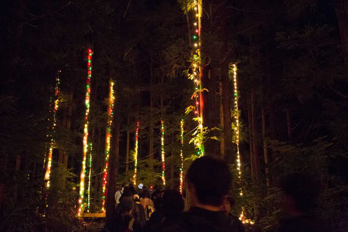 木に電飾してありました。