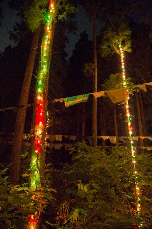 高さはかなりあります。