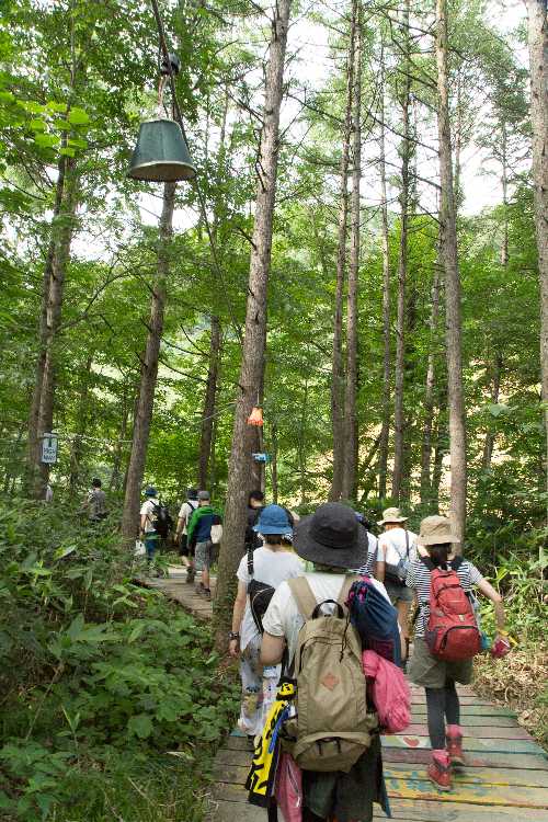 ボードウォーク。今年はウサギが少ない。