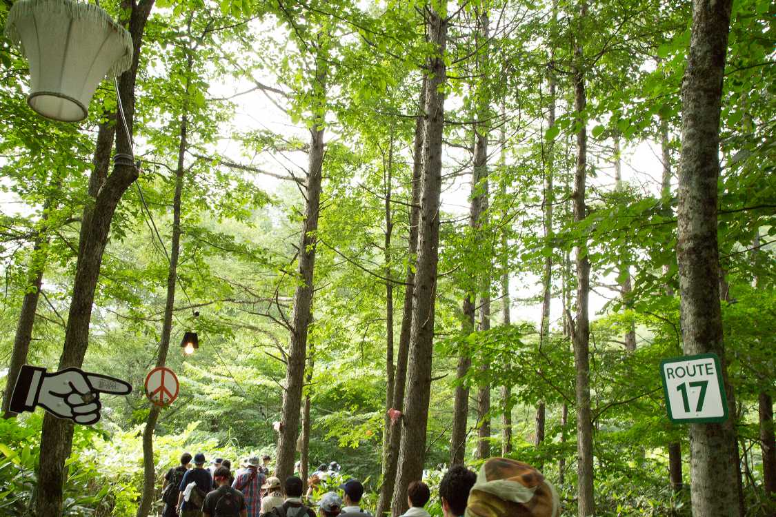 表示3種類。ほかにも多数。