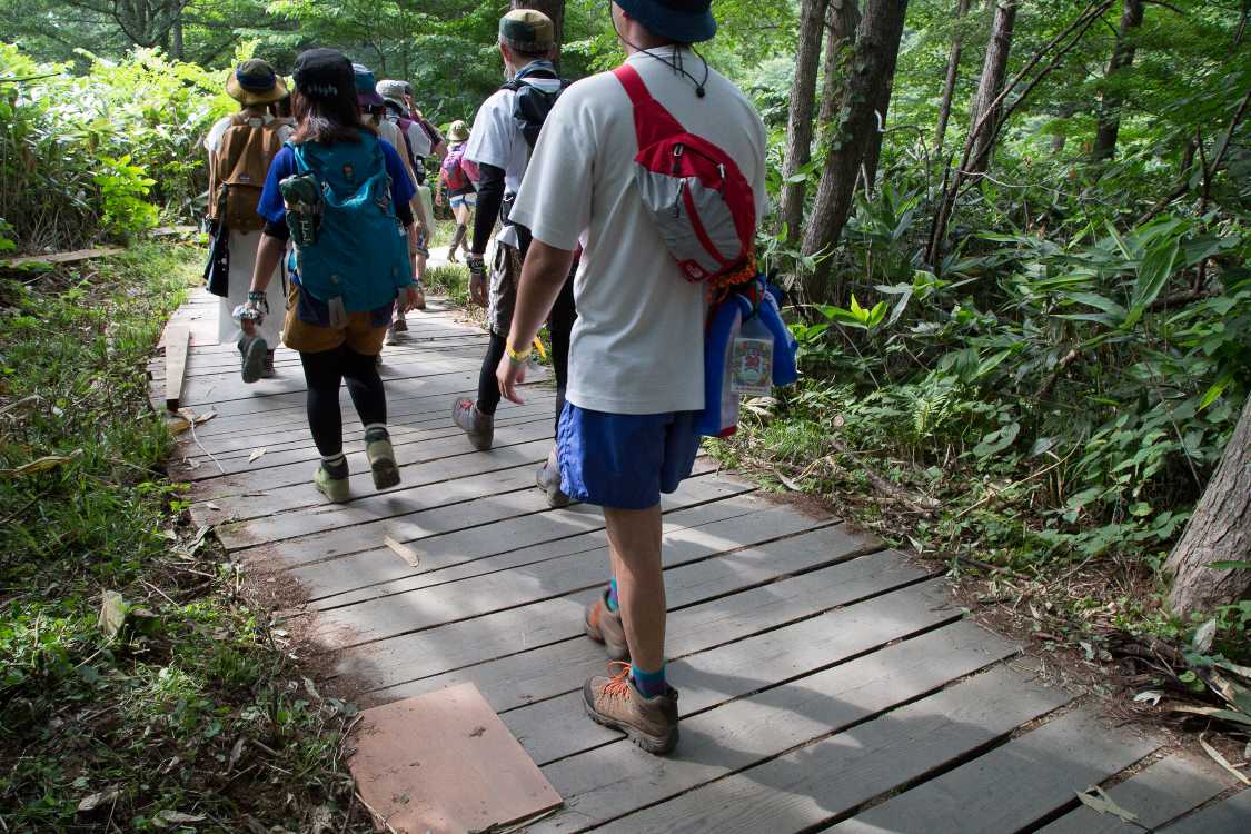 端だけ修復するのは木の板特有の反りのためか。