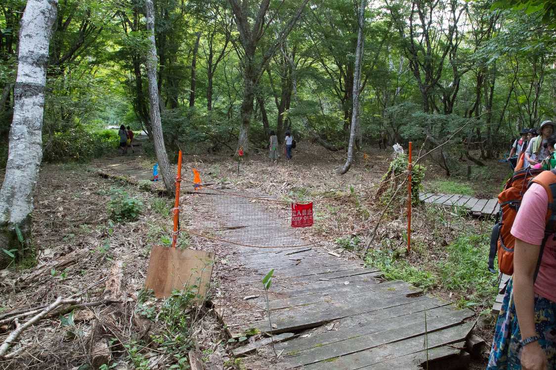 フジロックでは使われない別ルート。