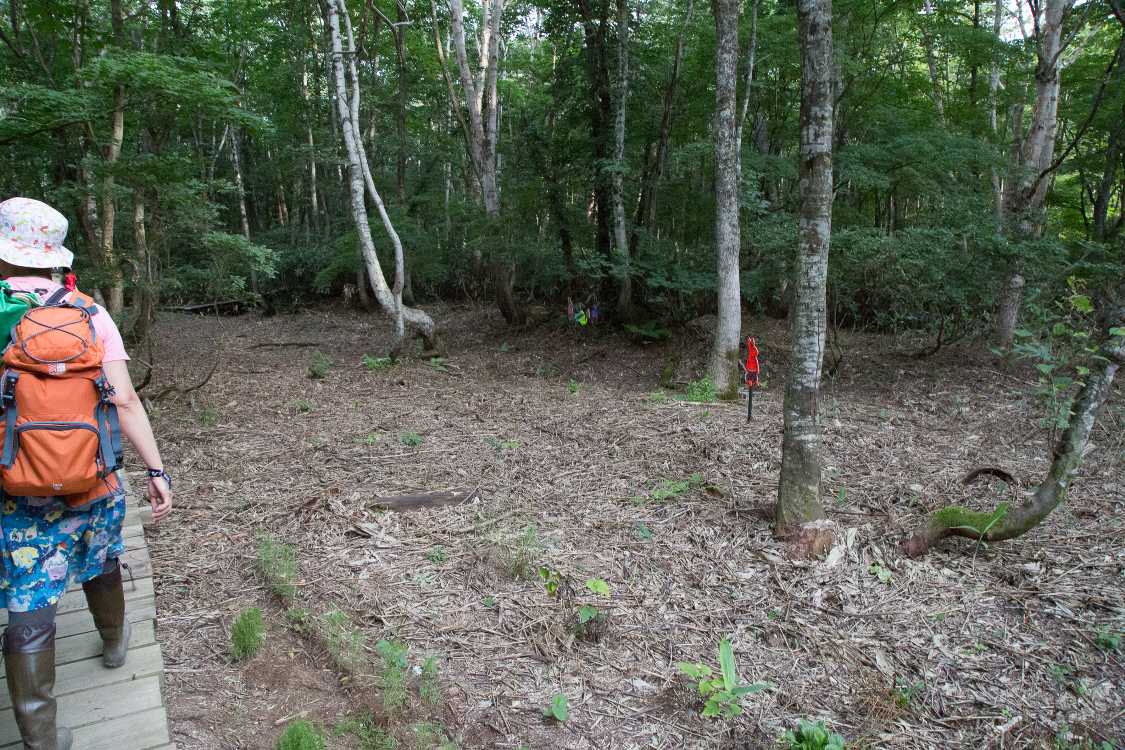 伐採と運搬が大変だっただろうと思います。