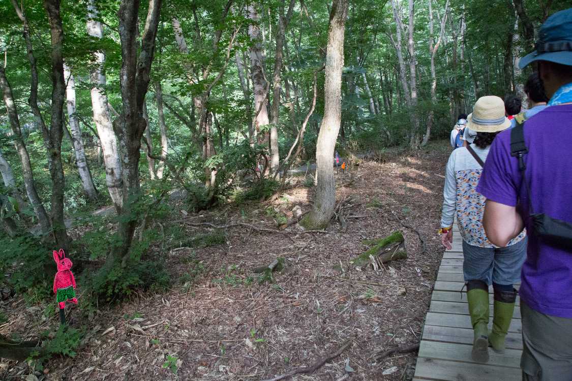 以前の写真を見ると、生い茂っているのはササでした。植生上好ましくないと判断されたのかもしれません。
