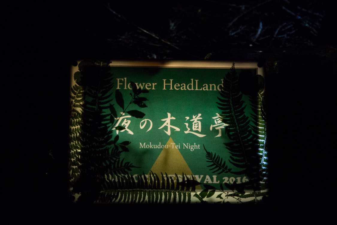 フラワー・ヘッドランドとはこの投影アートを行っている団体名。日本の団体です。