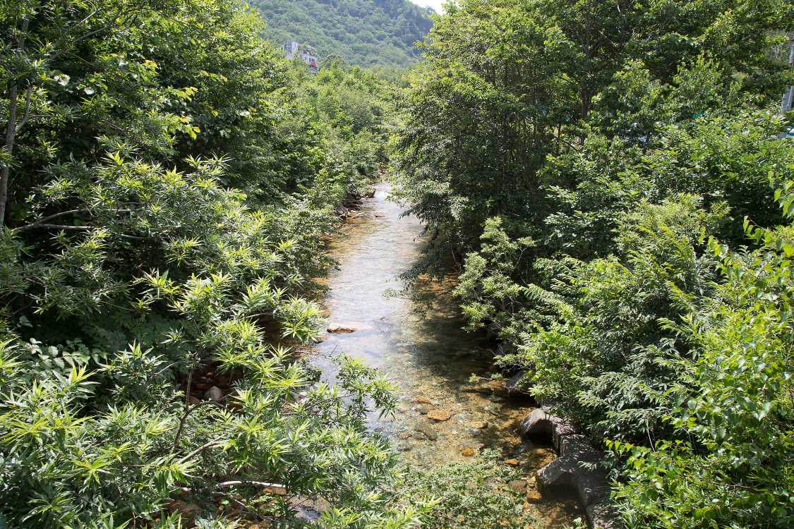 上流側はほぼ自然の川。