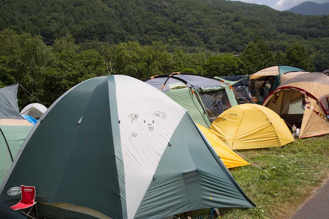 テントに直接書いた目印。