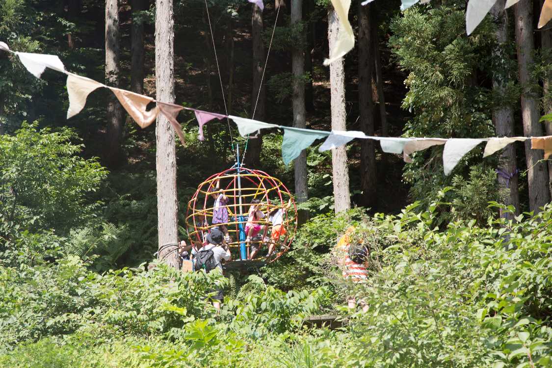 森の中にジャングルもあります。