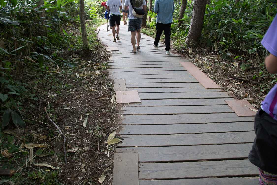 古い板は修復が目立ちます。