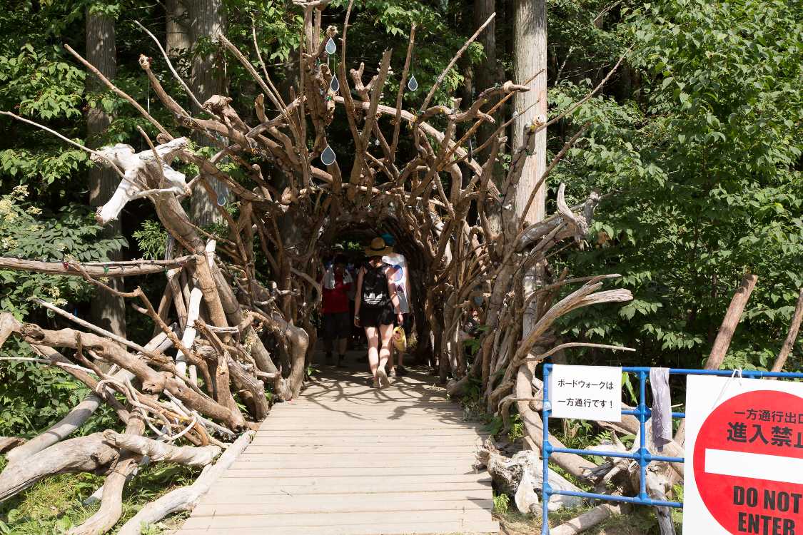 ボードウォークの出口。一方通行なのでここから入ることはできませんが、かつて配置されていたスタッフもいなくなったので守られなくなりました。