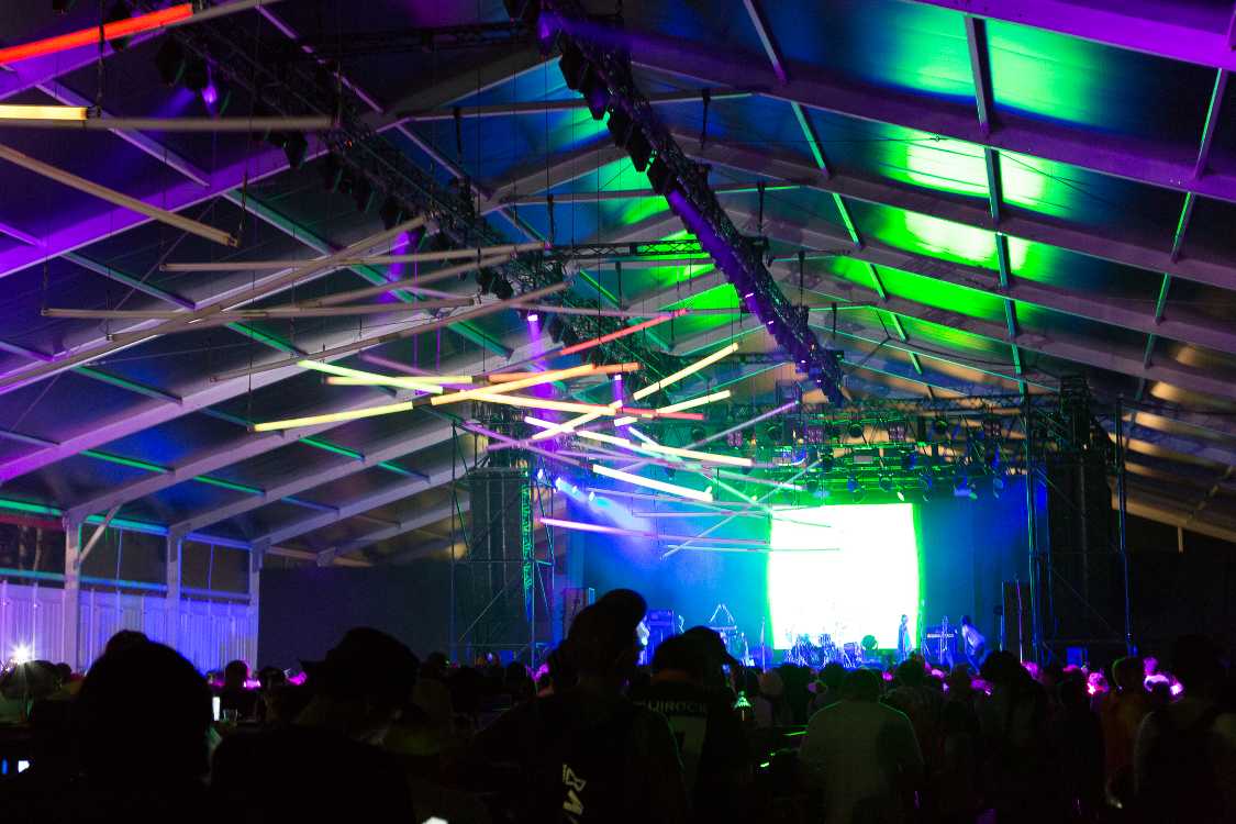 色も異なっています。