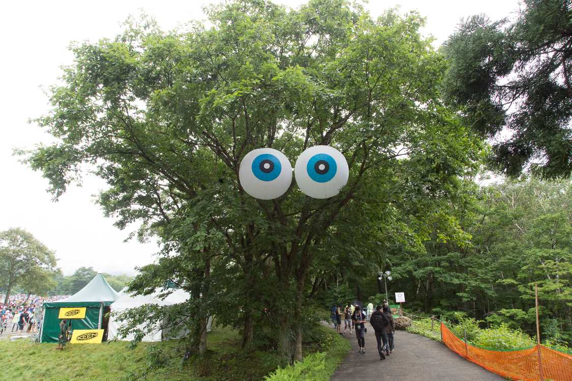 数年前から定位置の目玉。