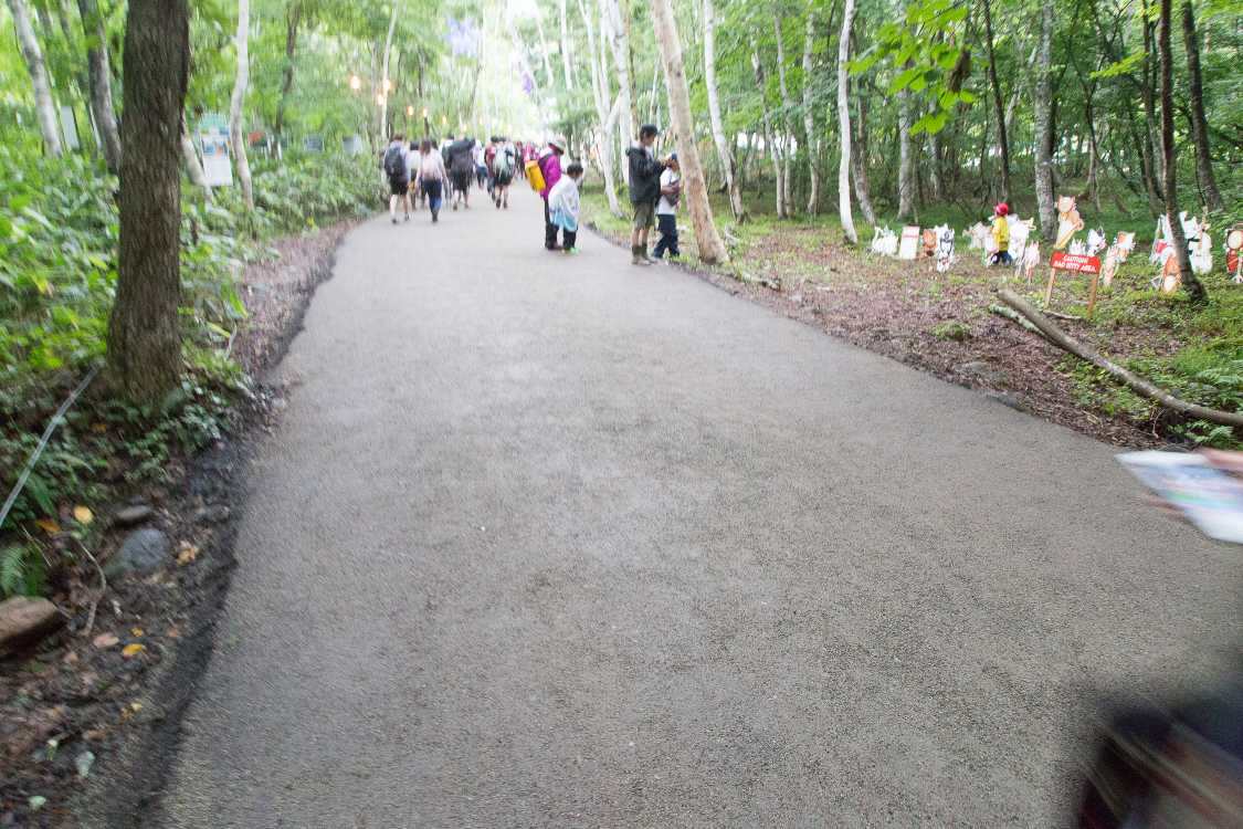 舗装はトラックが通過できる程度の幅。