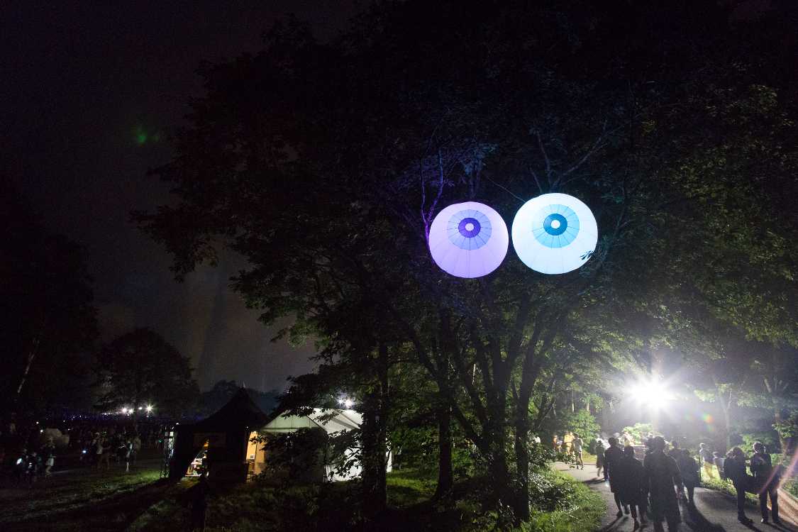 グリーンステージ北側の木。猫のオッドアイを思わせます。