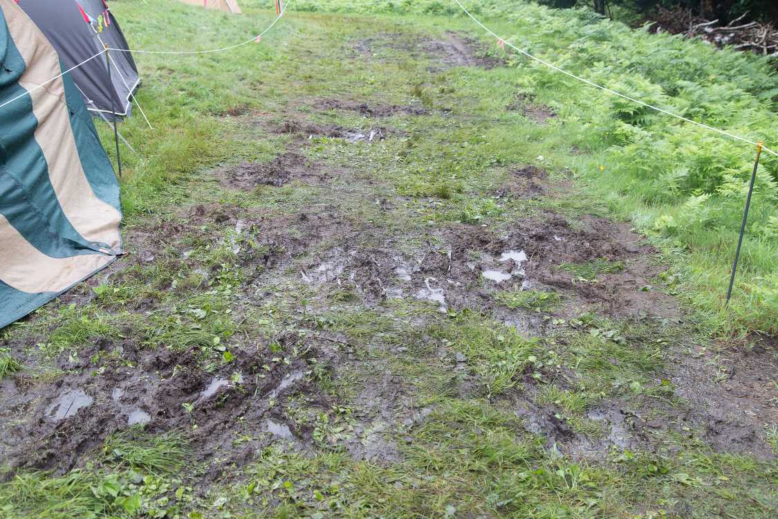 通路は泥がやや深め。