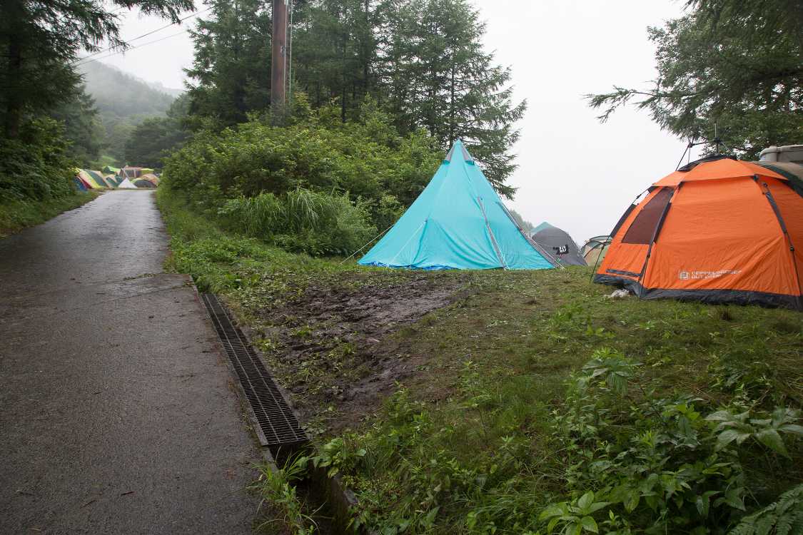 キャンプサイトのFサイト南側。左はEサイト。