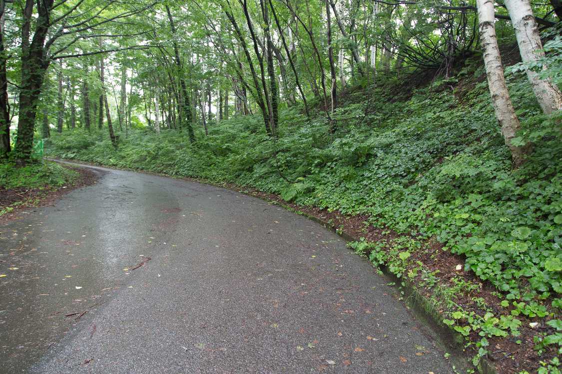 緩いカーブを3回ほど通過します。一つ目。