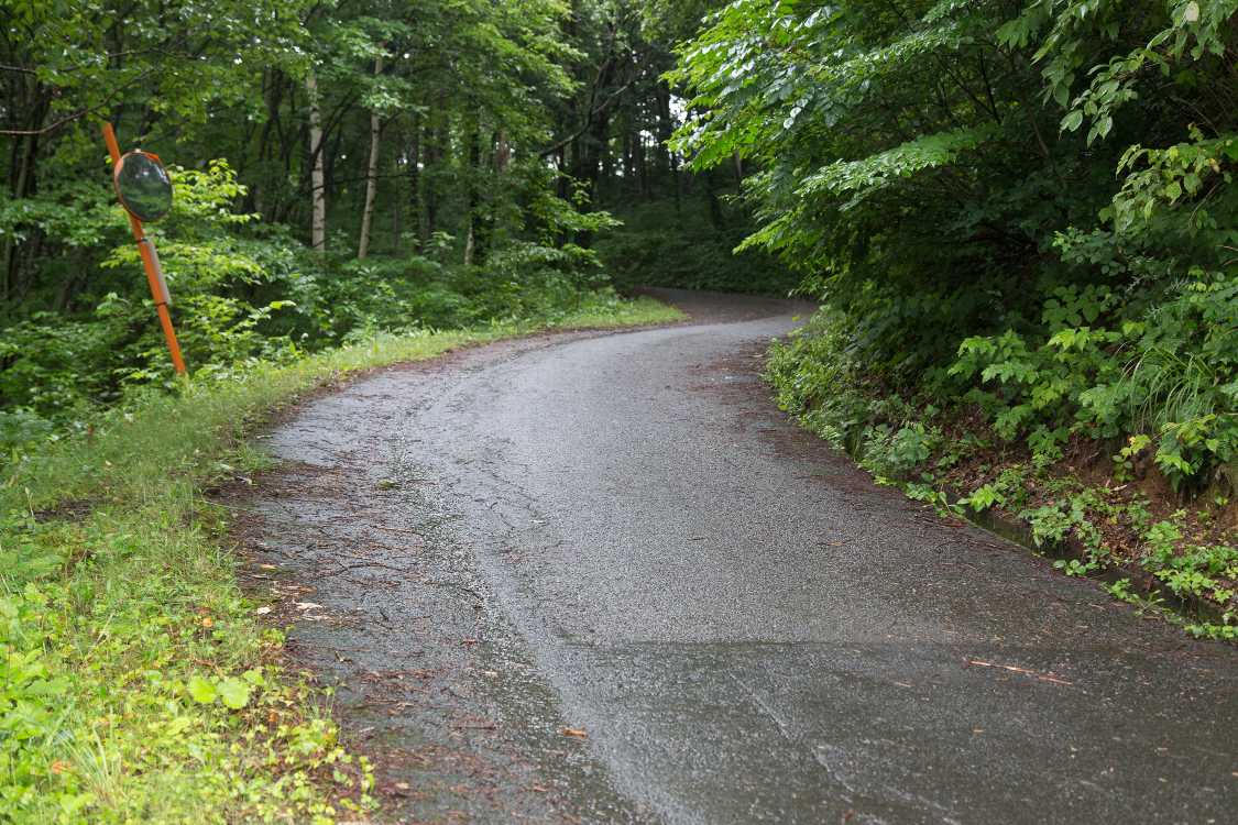 急カーブをさらに登ります。