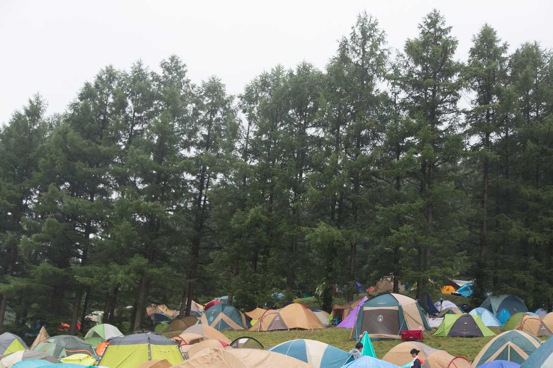 Cサイトの山側にある並木。陰ができるのでこの近辺は人気。