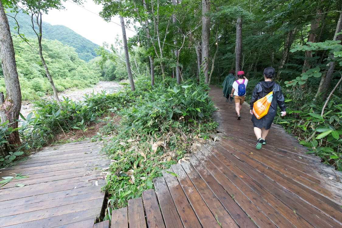 かつてのルート変更の痕跡。