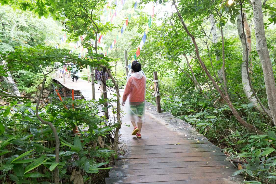 みどり橋手前。