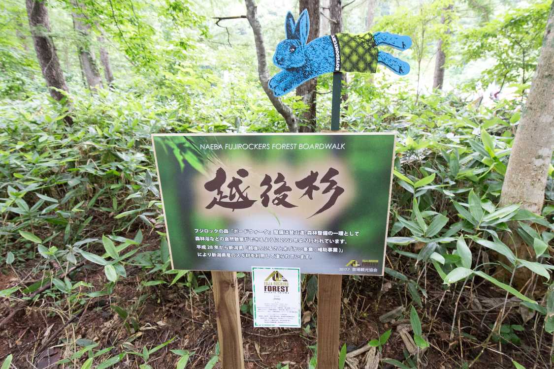 前回から補助金が入っていることを示す表示。