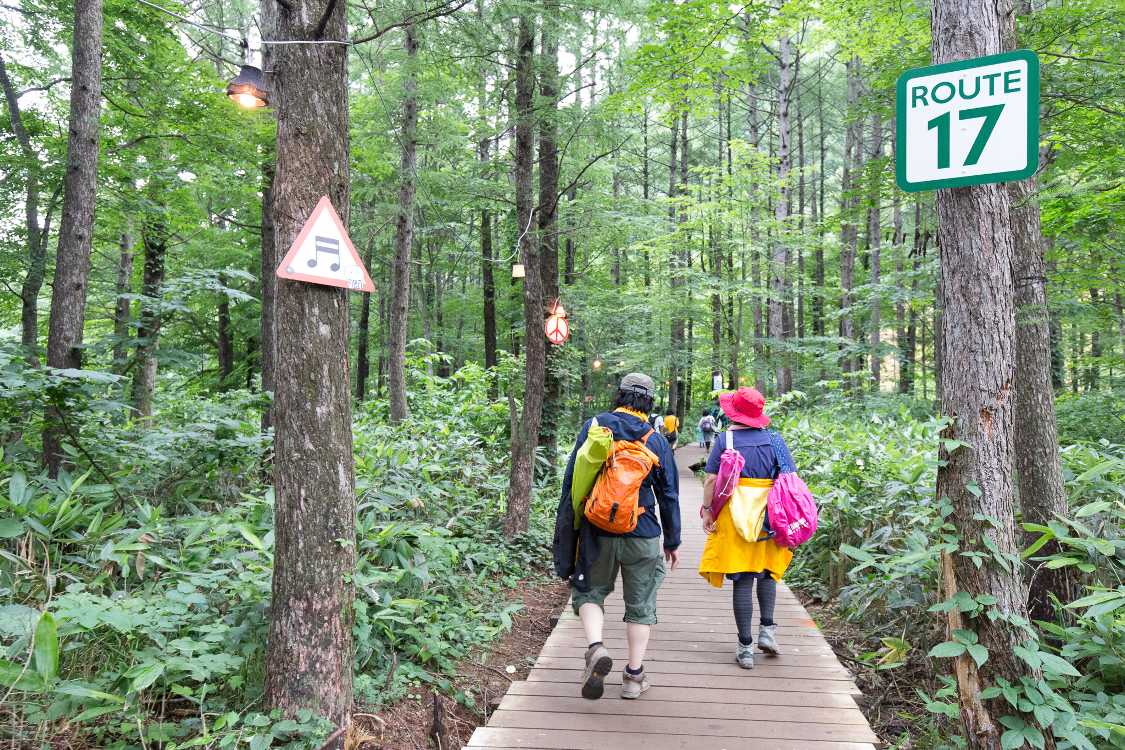 木に多数の表示。例年同じものが使われています。