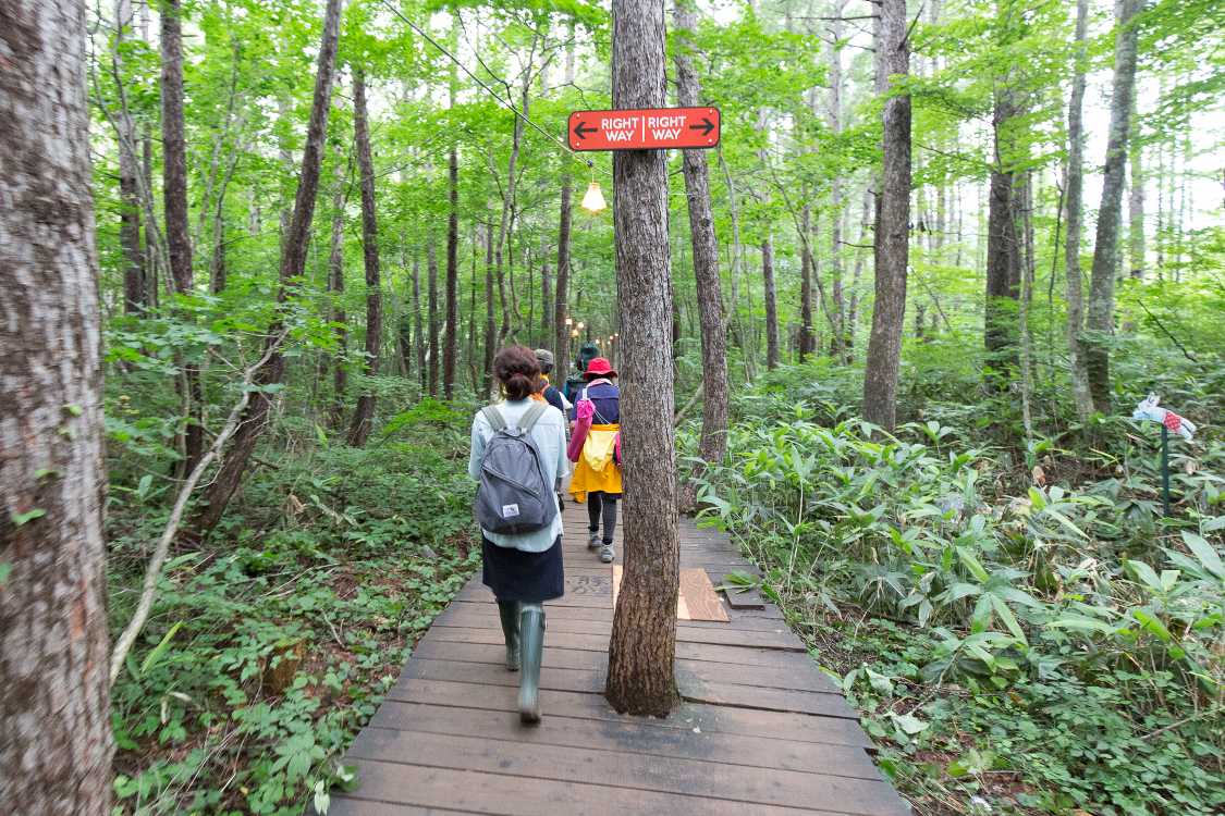 ボードウォークの真ん中の木。夜はやや危ない。