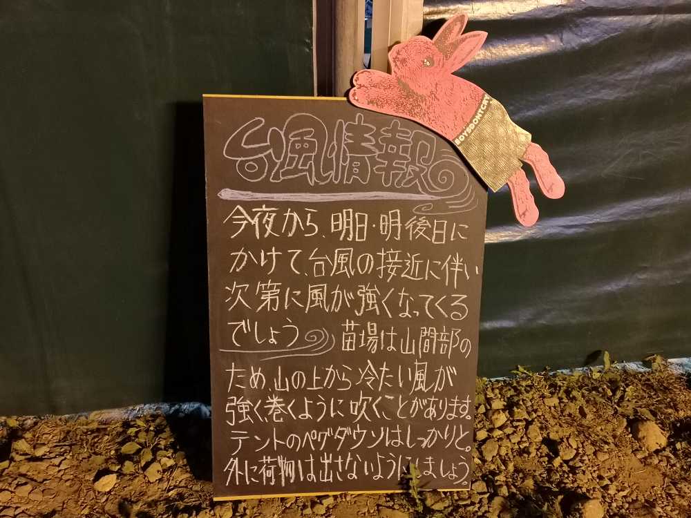 前夜祭、深夜のキャンプよろず相談所前。