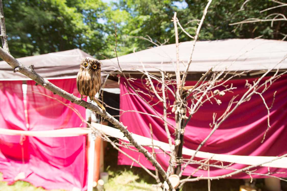 フクロウが止まっていました。もちろんオブジェ。