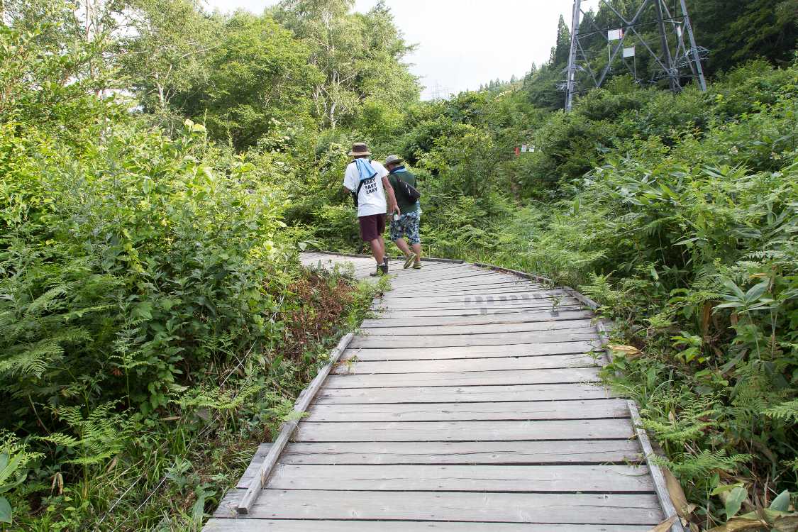 グリーンステージ方面へ。