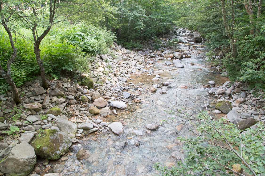 みどり橋から。浅貝川の上流。オアシスエリアから流れてきます。