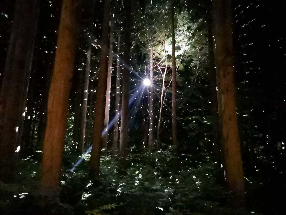 途中のミラーボール。