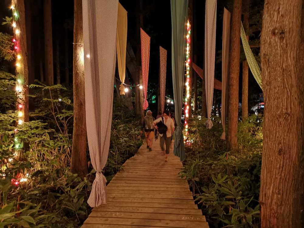 明るく見えますが、実際は暗い。